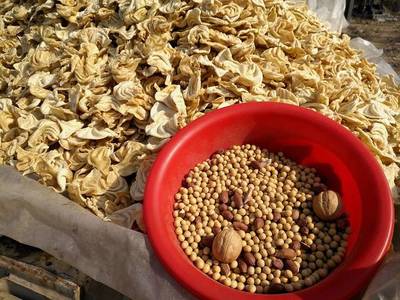 试吃破局 东北大豆耳的关内逆袭之路