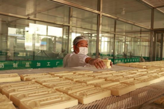 科左后旗 特色奶制品加工业，豆奶产业打造“舌尖上的经济新引擎”